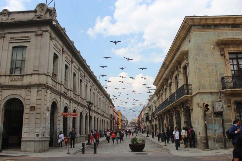 Oaxaca Centro Histórico: atractivos, historia y tips para visitarlo