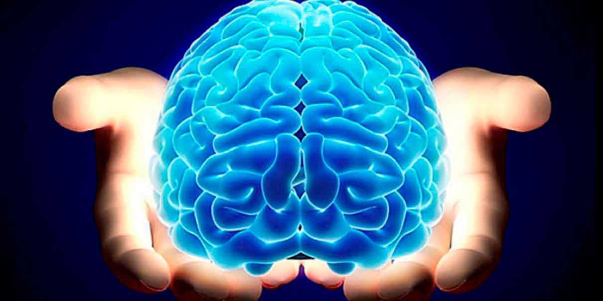 Cuidados del cerebro