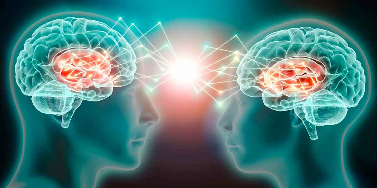 Cerebro