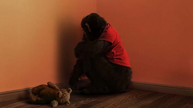 En el cine thriller intenso en La Empleada y terror escalofriante con Primate