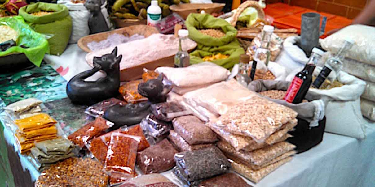 Pueblo Mágico de Coatepec