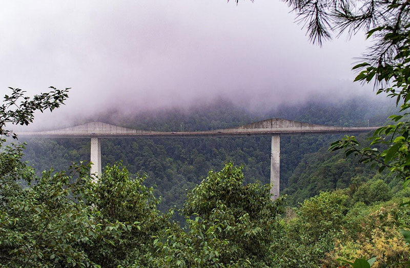 Los bosques de Acaxochitlán, Hidalgo, ofrecen paisajes de montaña y ambientes húmedos que invitan al turismo de naturaleza.