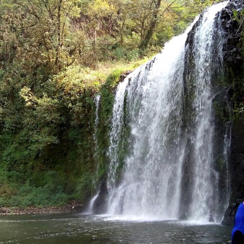 Las Cascadas de Chimalapa, en Hidalgo, ofrecen paisajes boscosos ideales para practicar senderismo y disfrutar de la fotografía de naturaleza.