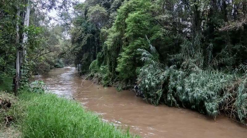 Conagua detecta 2,850 descargas ilegales en el Atoyac; avance apenas del 15%