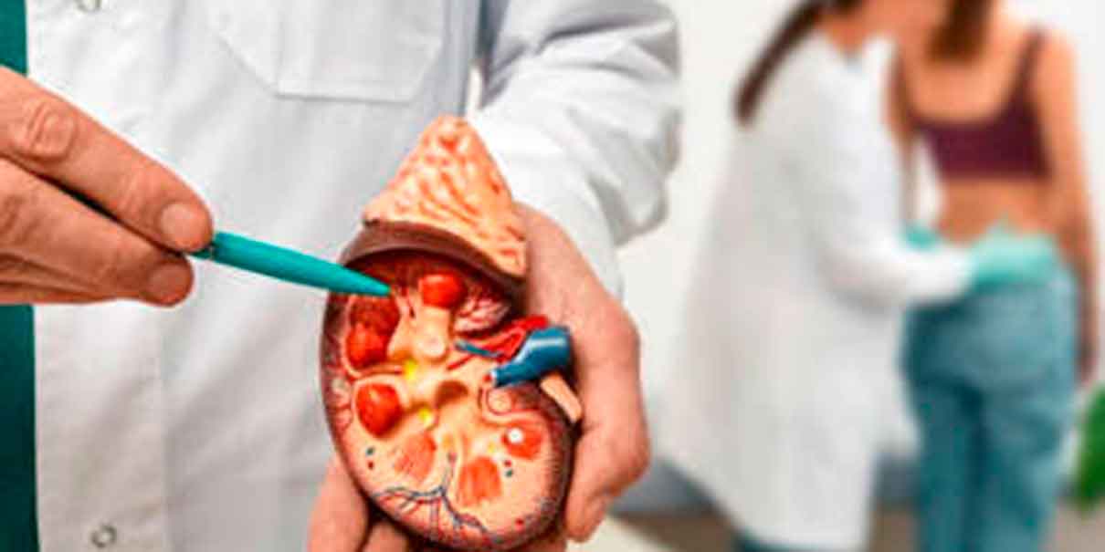 insuficiencia renal