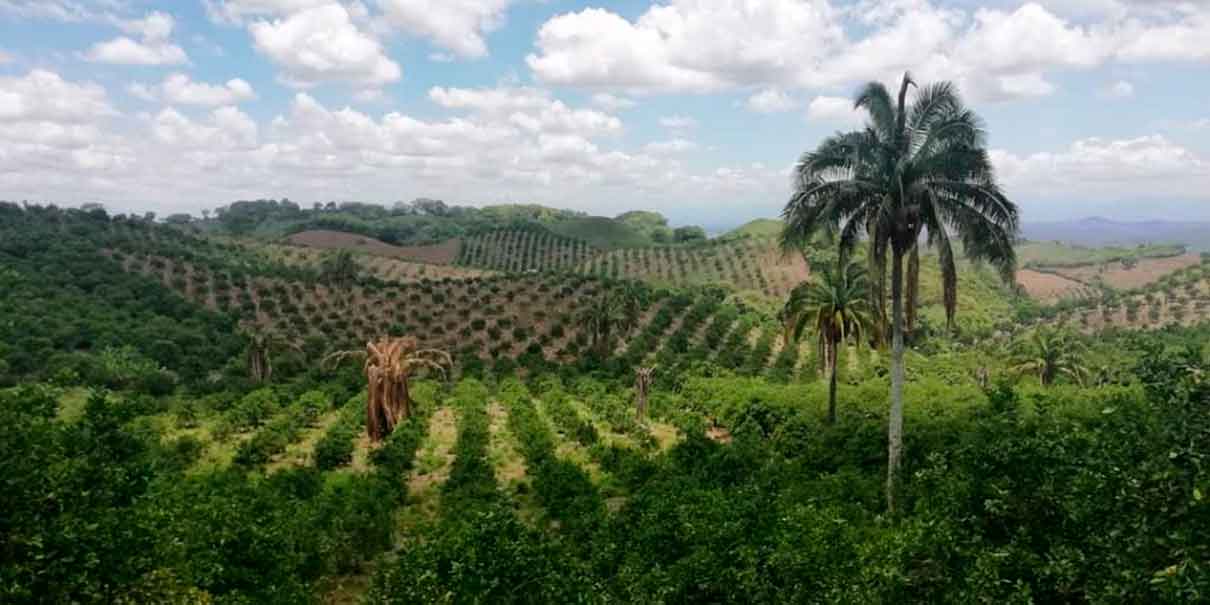 Zona Arqueológica Cuyuxquihui,