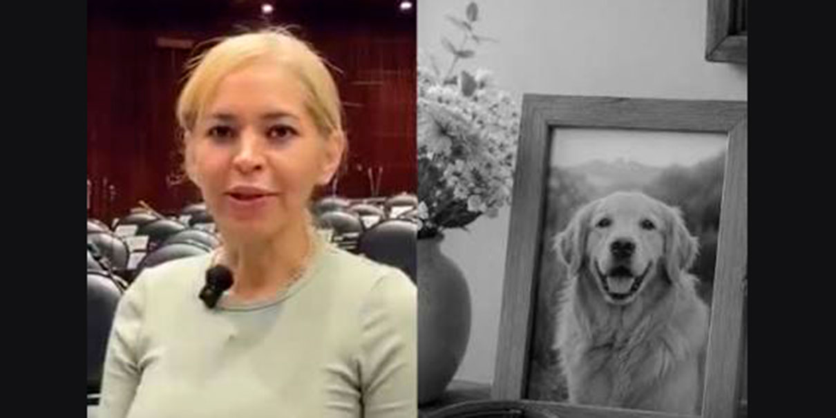 Diputada de Morena 