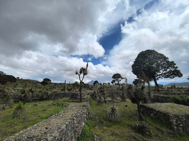 Zona Arqueológica de Cantona, joya histórica escondida en Tepeyahualco