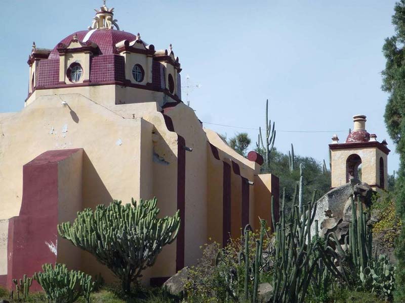 Jardín Botánico Helia Bravo Hollis: maravilla de cactus gigantes en Puebla