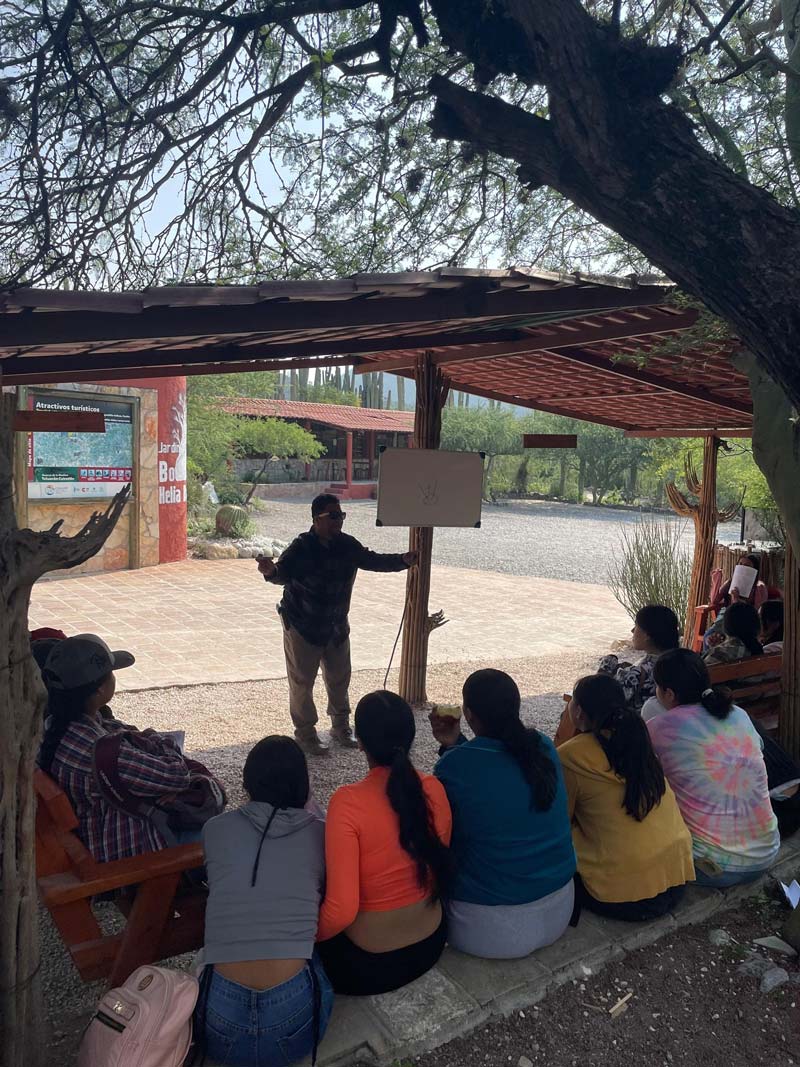 Jardín Botánico Helia Bravo Hollis: maravilla de cactus gigantes en Puebla