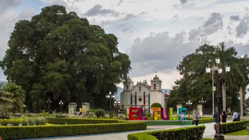 Árbol del Tule en Oaxaca: historia, misterio y el árbol más ancho del mundo