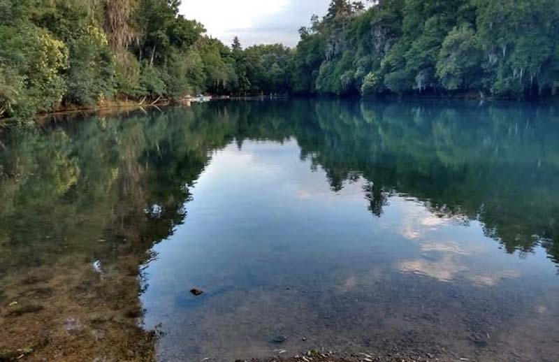 Bosque de las Truchas.