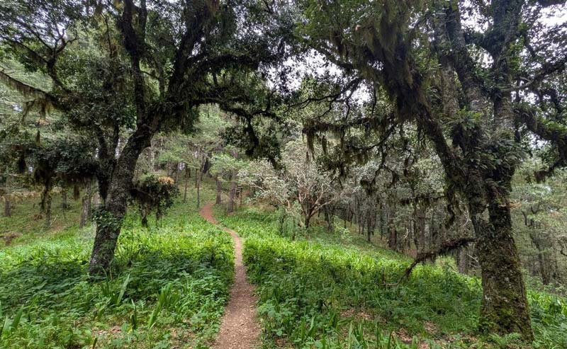 San Juan Atepec, Oaxaca: un viaje al corazón de la cultura zapoteca viva
