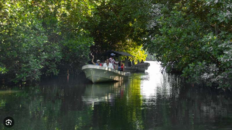 Lagunas de Chacahua, Oaxaca: el paraíso natural donde el mar y la selva se encuentran