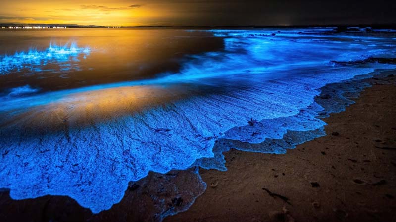 Lagunas de Chacahua, Oaxaca: el paraíso natural donde el mar y la selva se encuentran