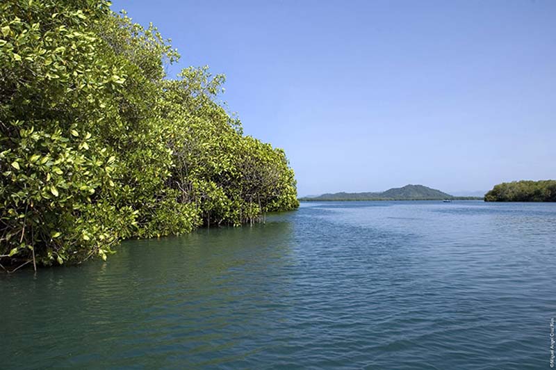Lagunas de Chacahua, Oaxaca: el paraíso natural donde el mar y la selva se encuentran
