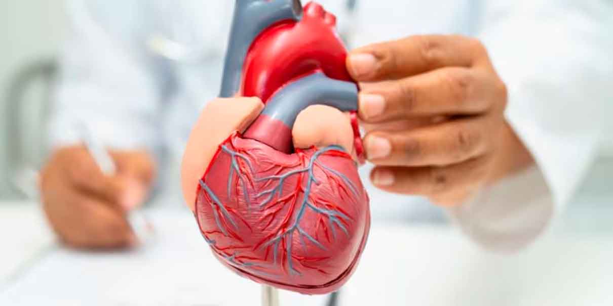 Corazón