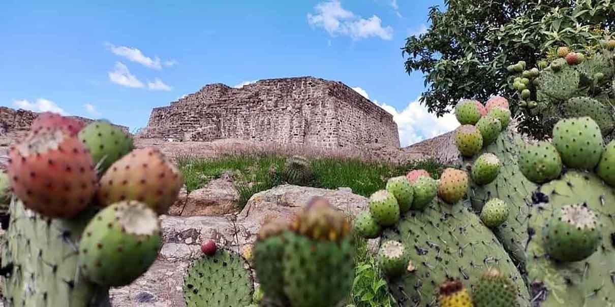 El Cóporo en Guanajuato 