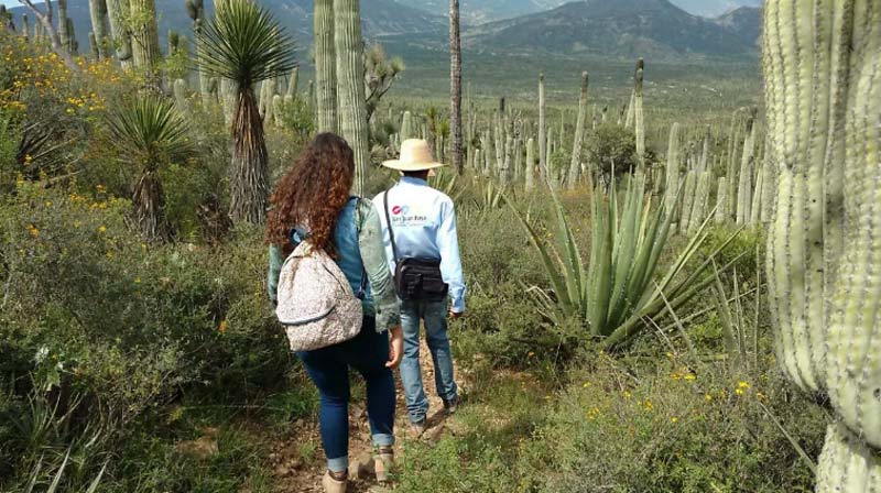 San Juan Raya, el rincón de Puebla que fue mar y hoy es un desierto lleno de fósiles
