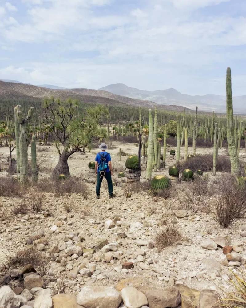 San Juan Raya, el rincón de Puebla que fue mar y hoy es un desierto lleno de fósiles