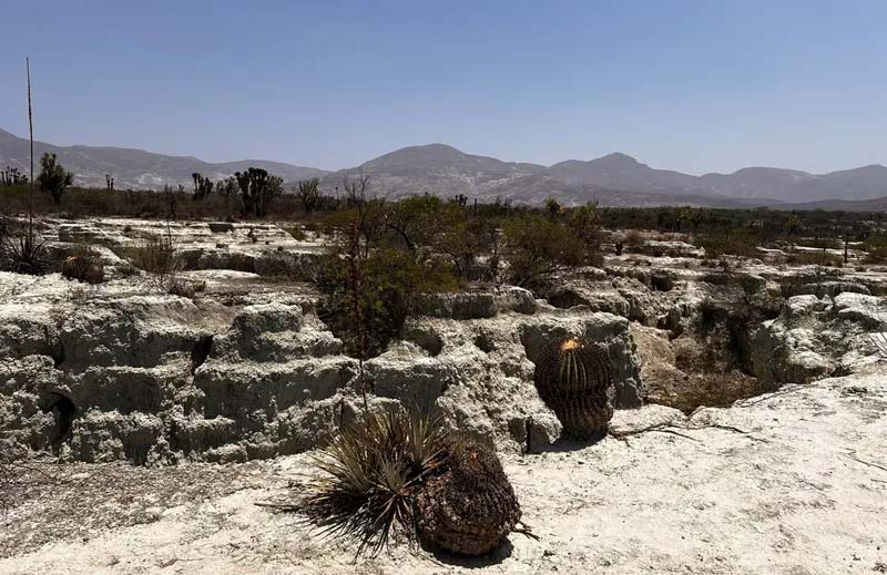 San Juan Raya, el rincón de Puebla que fue mar y hoy es un desierto lleno de fósiles
