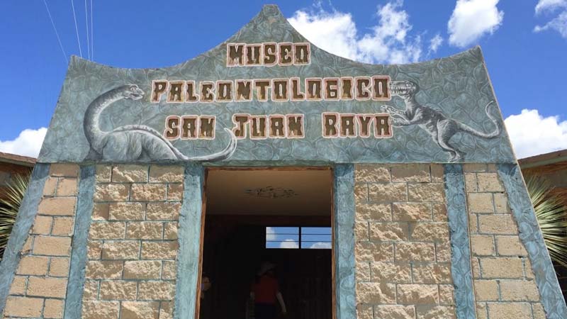 San Juan Raya, el rincón de Puebla que fue mar y hoy es un desierto lleno de fósiles