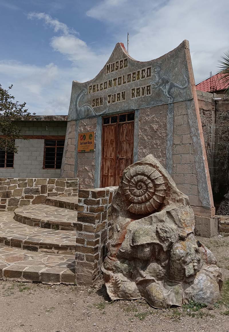 San Juan Raya, el rincón de Puebla que fue mar y hoy es un desierto lleno de fósiles