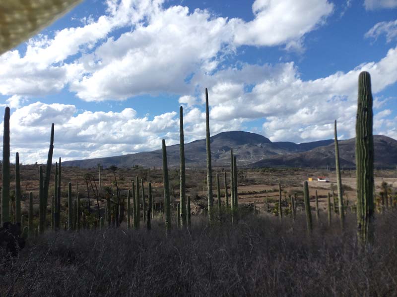 San Juan Raya, el rincón de Puebla que fue mar y hoy es un desierto lleno de fósiles
