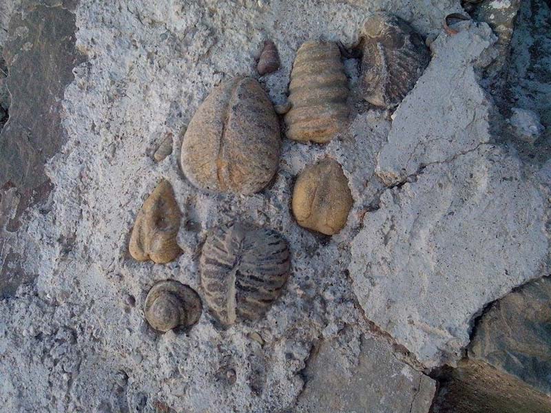 El desierto de Puebla que alguna vez fue océano: descubre San Juan Raya