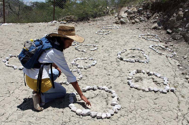 San Juan Raya, el rincón de Puebla que fue mar y hoy es un desierto lleno de fósiles