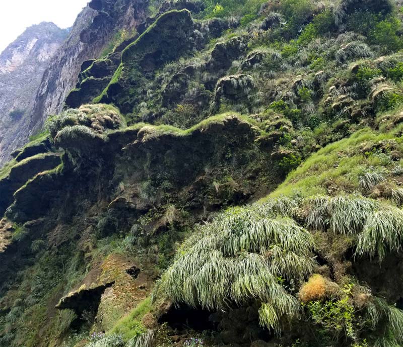 ¿Te atreves? Así es el Cañón del Sumidero, la maravilla natural más impactante de México