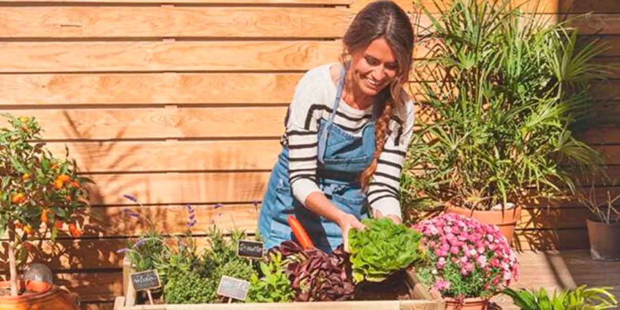 Plantar flores y plantas