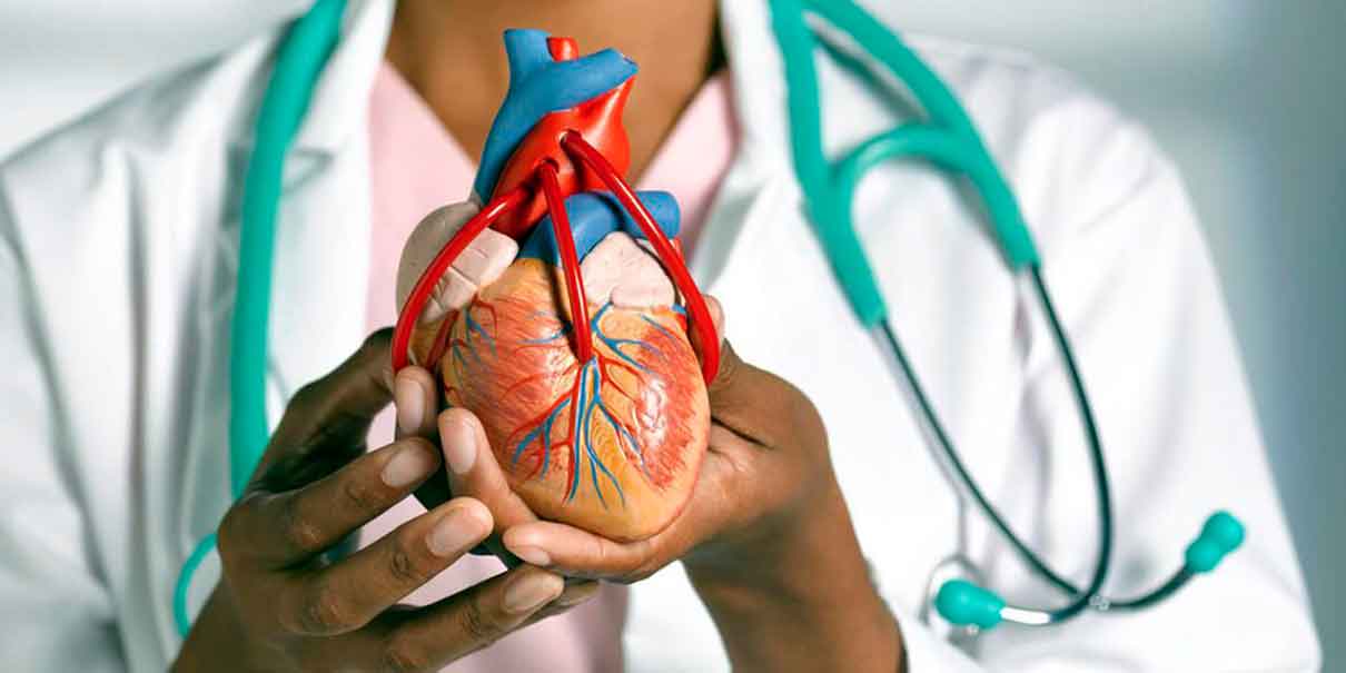 enfermedades cardiovasculares 