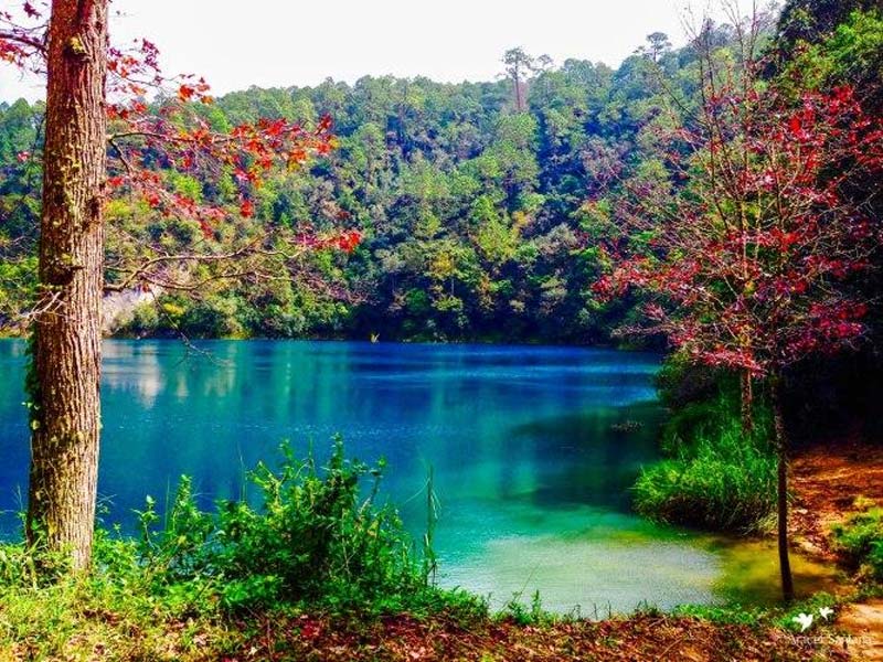 De azul a verde esmeralda: así lucen los Lagos de Montebello, joya natural de Chiapas
