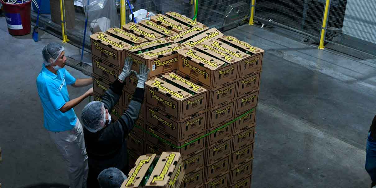 Exportación