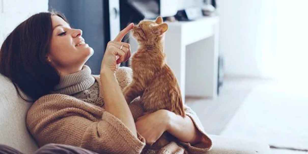 interacción con gatos