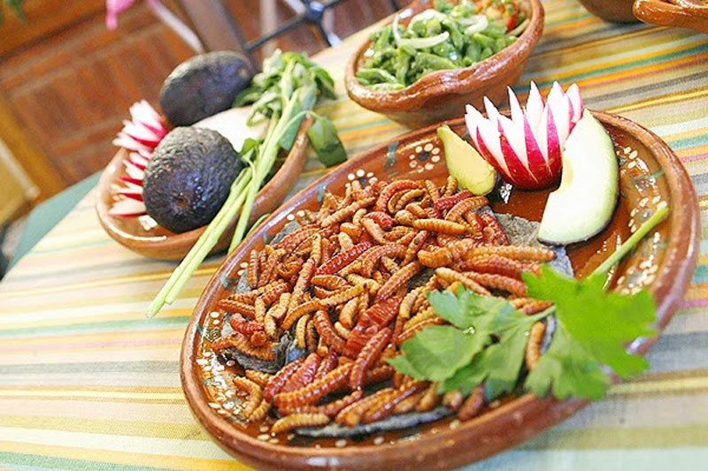 Santiago de Anaya destaca por su gastronomía otomí, con platillos elaborados con escamoles, gualumbos, gusanos de maguey y xoconostle.