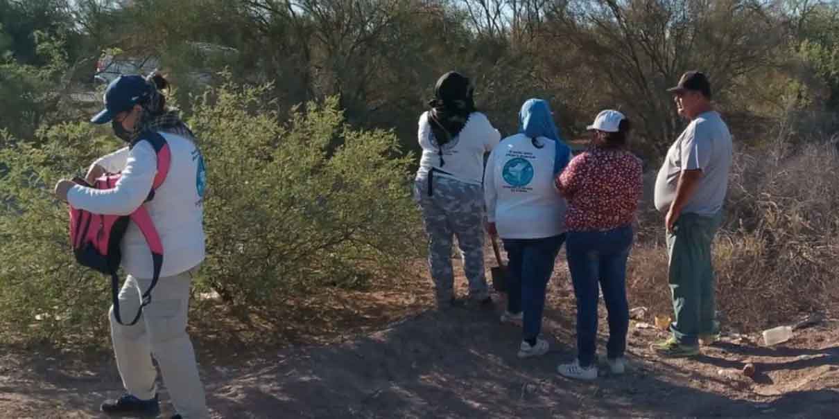 Horror en Sonora: madre y sus tres hijas son asesinadas y halladas abrazadas bajo un árbol