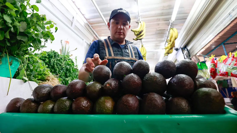 La papa y el aguacate estuvieron entre los productos que registraron las mayores bajas de precio durante septiembre.