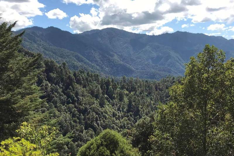 Ixtlán de Juárez: el tesoro ecológico y cultural escondido en la Sierra Norte de Oaxaca