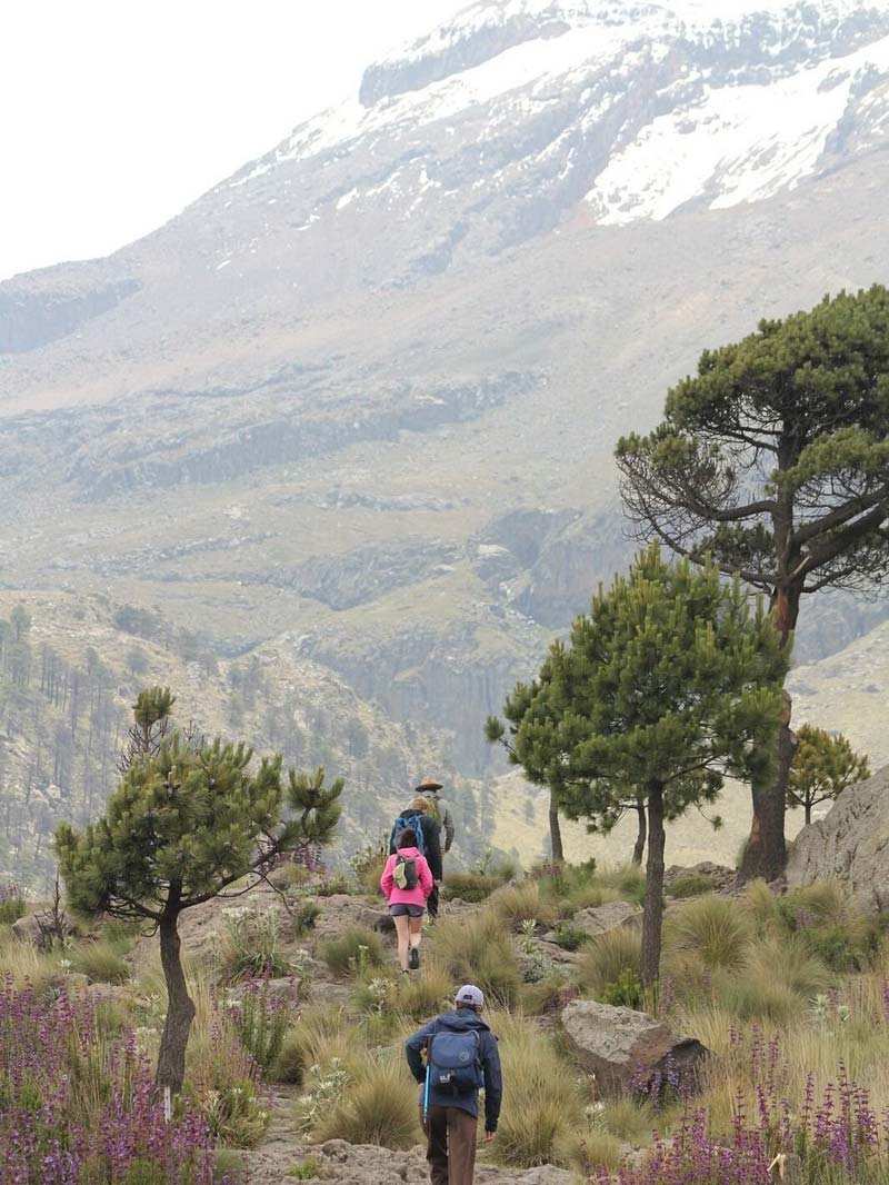 El gigante natural de México: descubre el Parque Nacional Izta-Popo