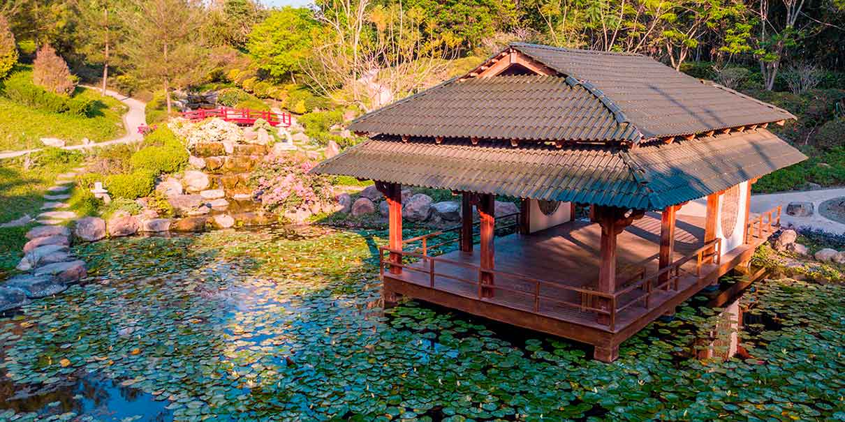 Jardín Japonés: armonía y contemplación