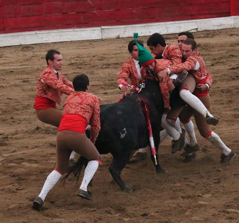 Este es el momento en que un toro mata a joven torero