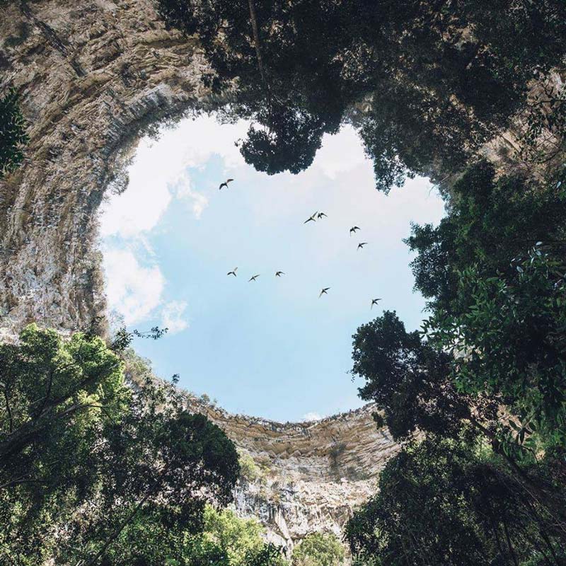 Conoce la Cueva de las Cotorras, la maravilla natural de Chiapas con vuelo de miles de aves y pinturas rupestres