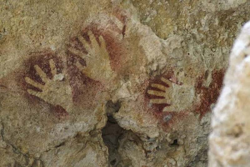 Conoce la Cueva de las Cotorras, la maravilla natural de Chiapas con vuelo de miles de aves y pinturas rupestres