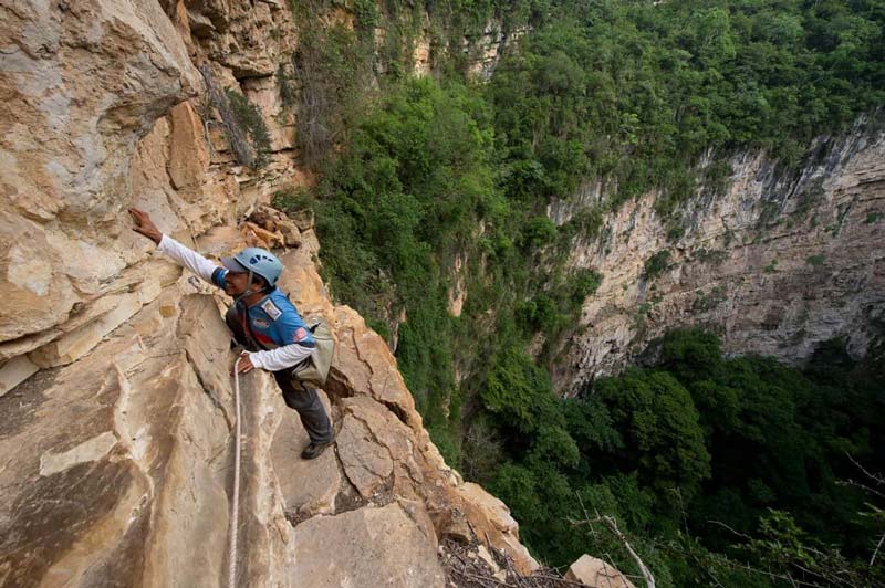 Conoce la Cueva de las Cotorras, la maravilla natural de Chiapas con vuelo de miles de aves y pinturas rupestres