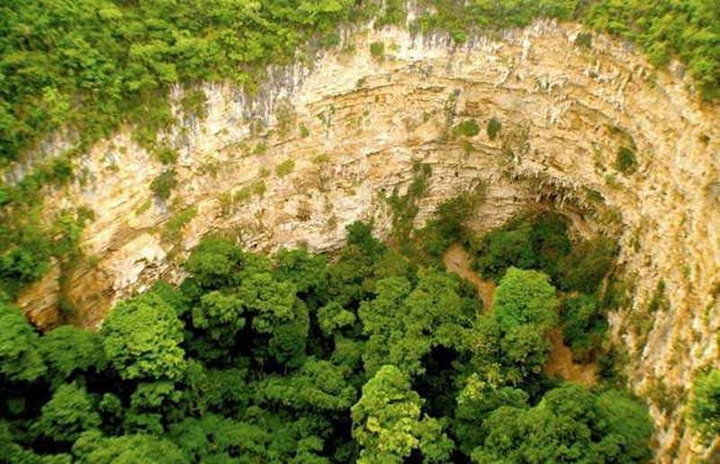 Conoce la Cueva de las Cotorras, la maravilla natural de Chiapas con vuelo de miles de aves y pinturas rupestres