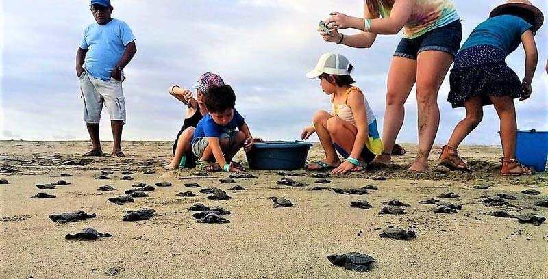 Entre selva y mar: descubre La Ventanilla, el tesoro oculto de Oaxaca