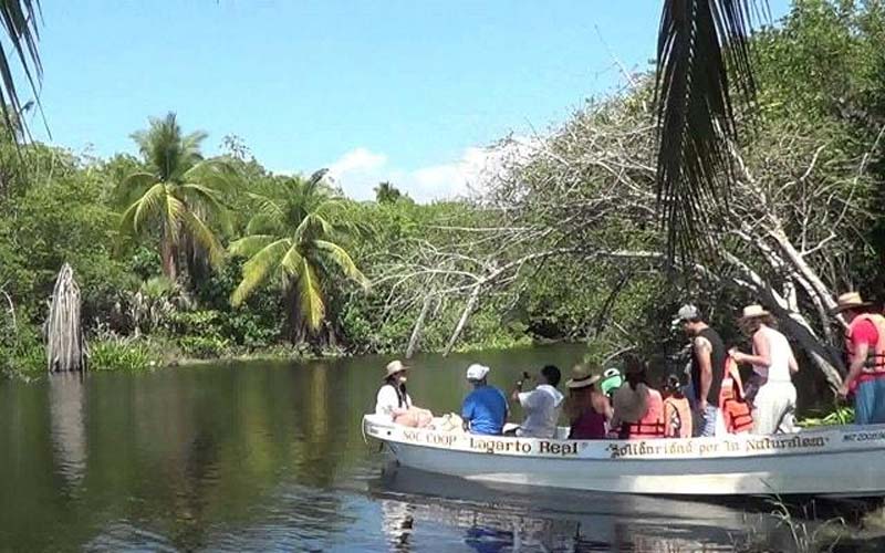 Entre selva y mar: descubre La Ventanilla, el tesoro oculto de Oaxaca