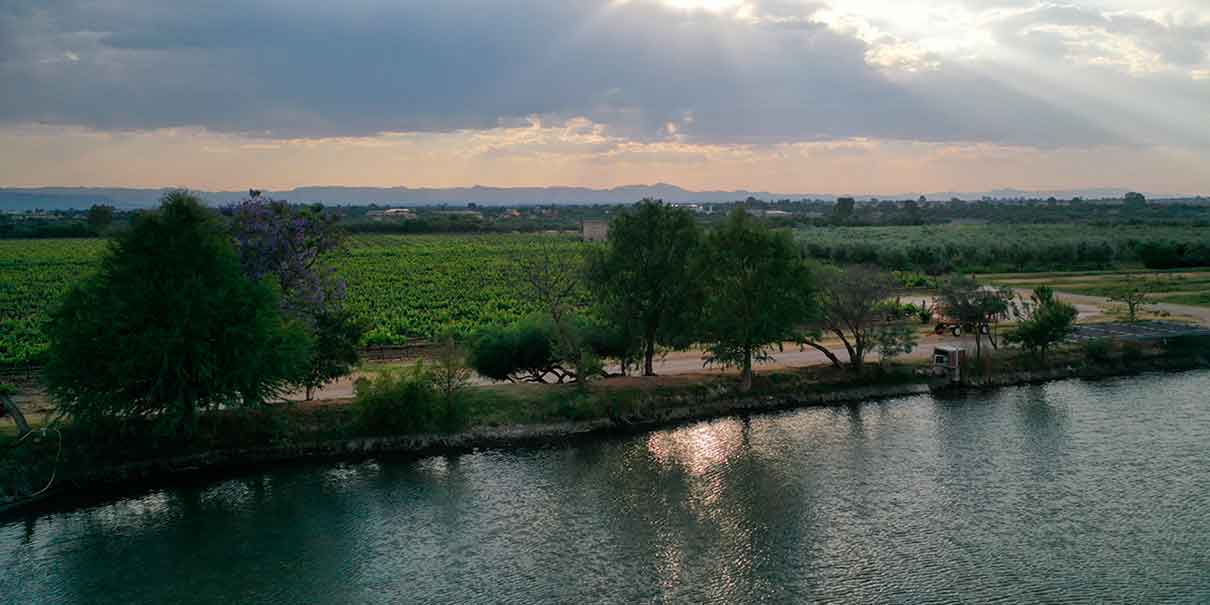 Paisaje 